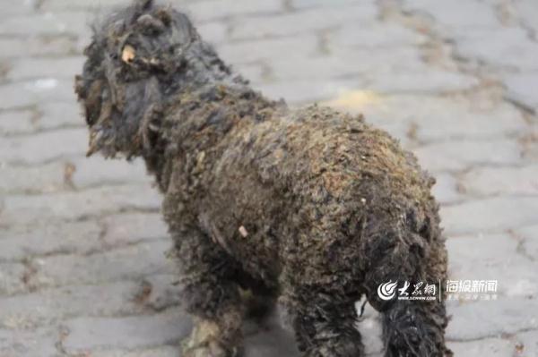 突發(fā)！青島一居民樓發(fā)生爆燃！已造1人死亡，7人受傷！3公里外有震感…