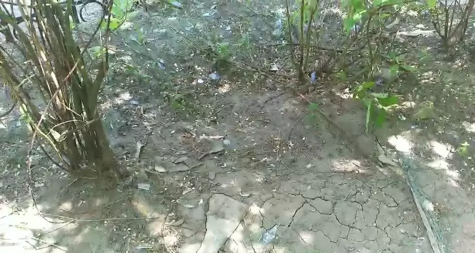 今晨，大慶經(jīng)五街2-41號樓二單元一樓發(fā)生燃氣爆炸！