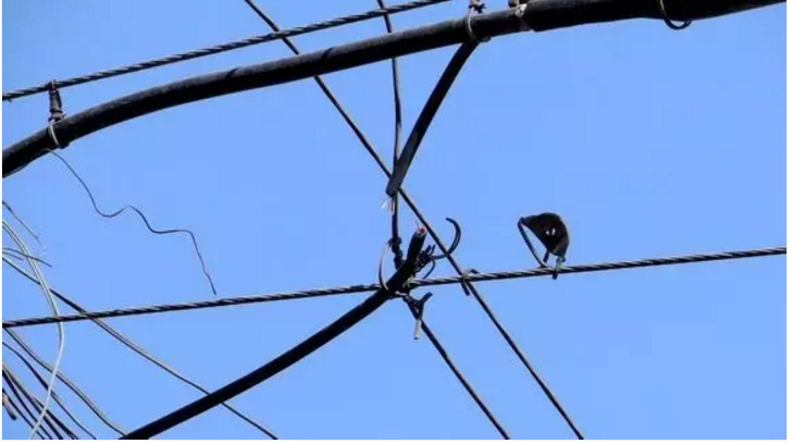 1610344372689678.png 圖片.png