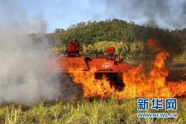 【動(dòng)畫】森林草原防火“十不準(zhǔn)”“五不燒”！這些安全知識(shí)要牢記